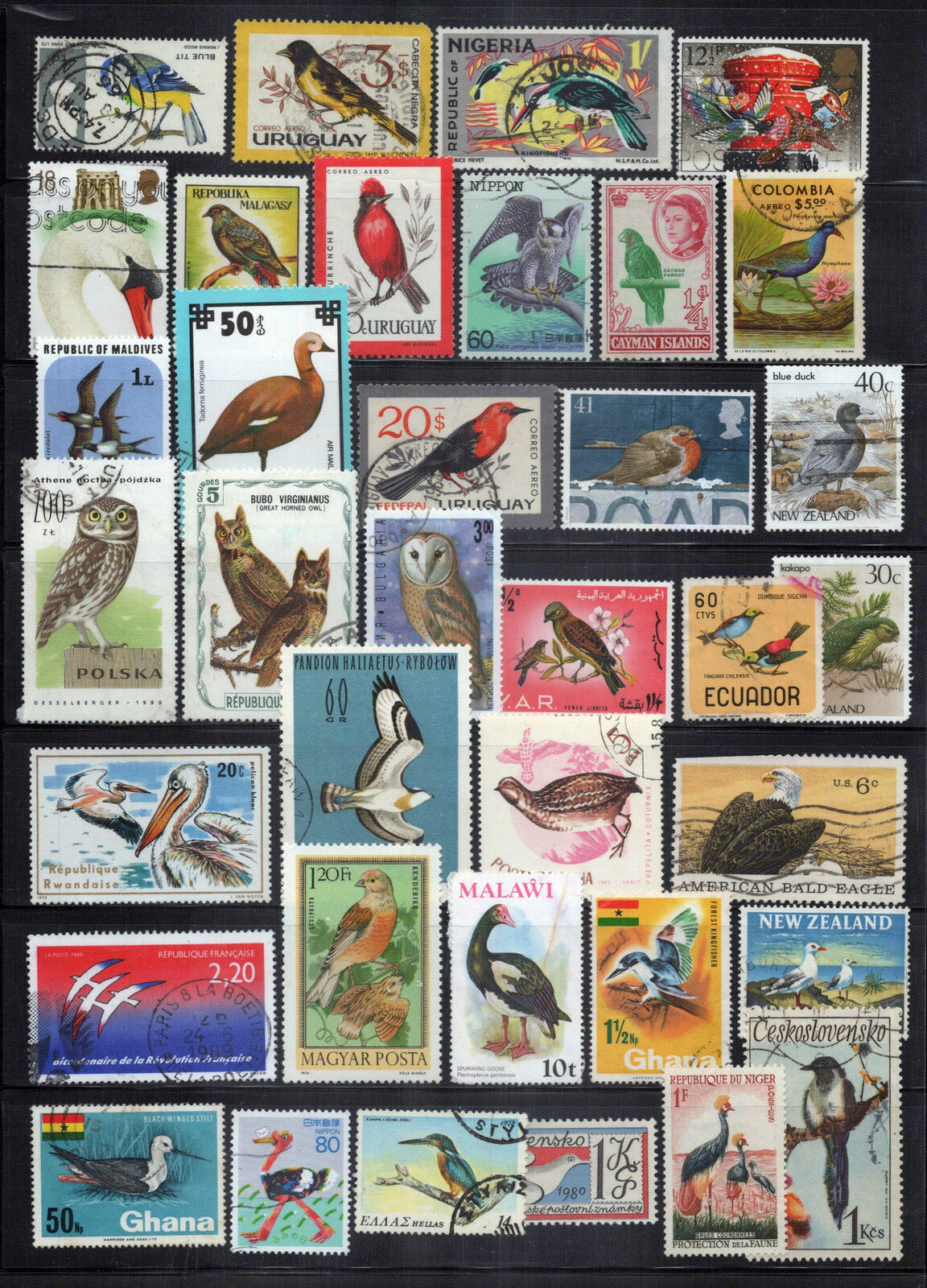 Birds Stamp Collection Mint/Used Owls Swans Storks Wildlife ZAYIX 0424S0313
