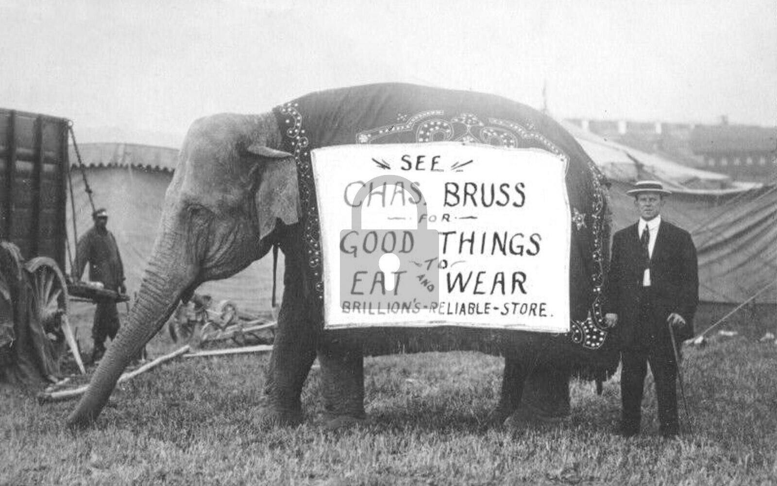 Chas Bruss Store Elephant Ad Brillion Wisconsin WI - 8x10 Reprint