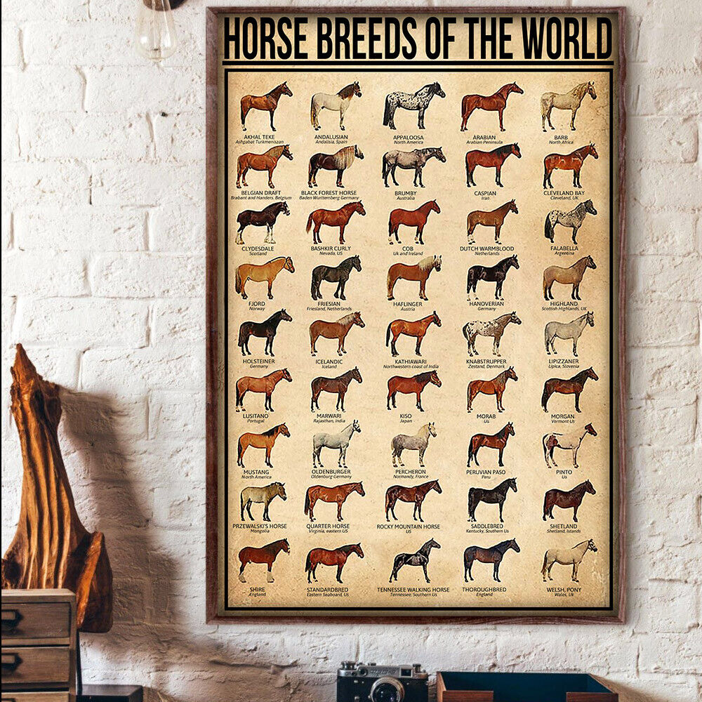 Horse Breeds Of The World Horses Poster