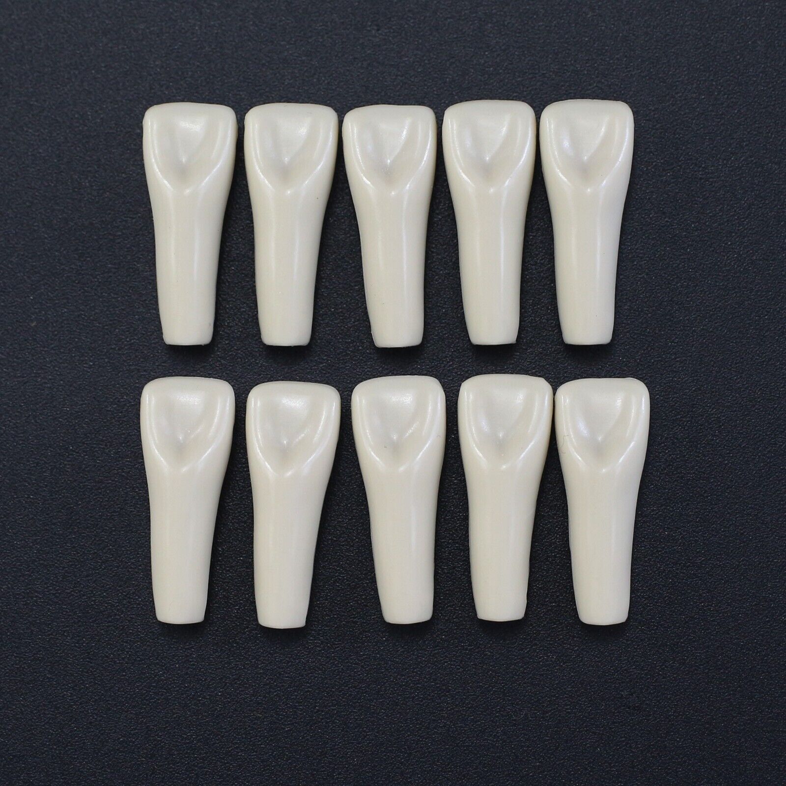 Columbia 860 10pcs/lot Dental Individual Typodont Teeth Replacement