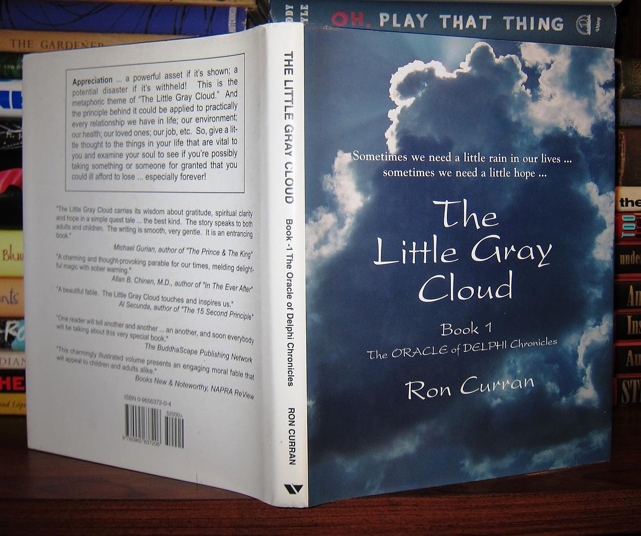 Curran, Ron THE LITTLE GRAY CLOUD Oracle of Delphi Chronicles, Book 1 1st Editio