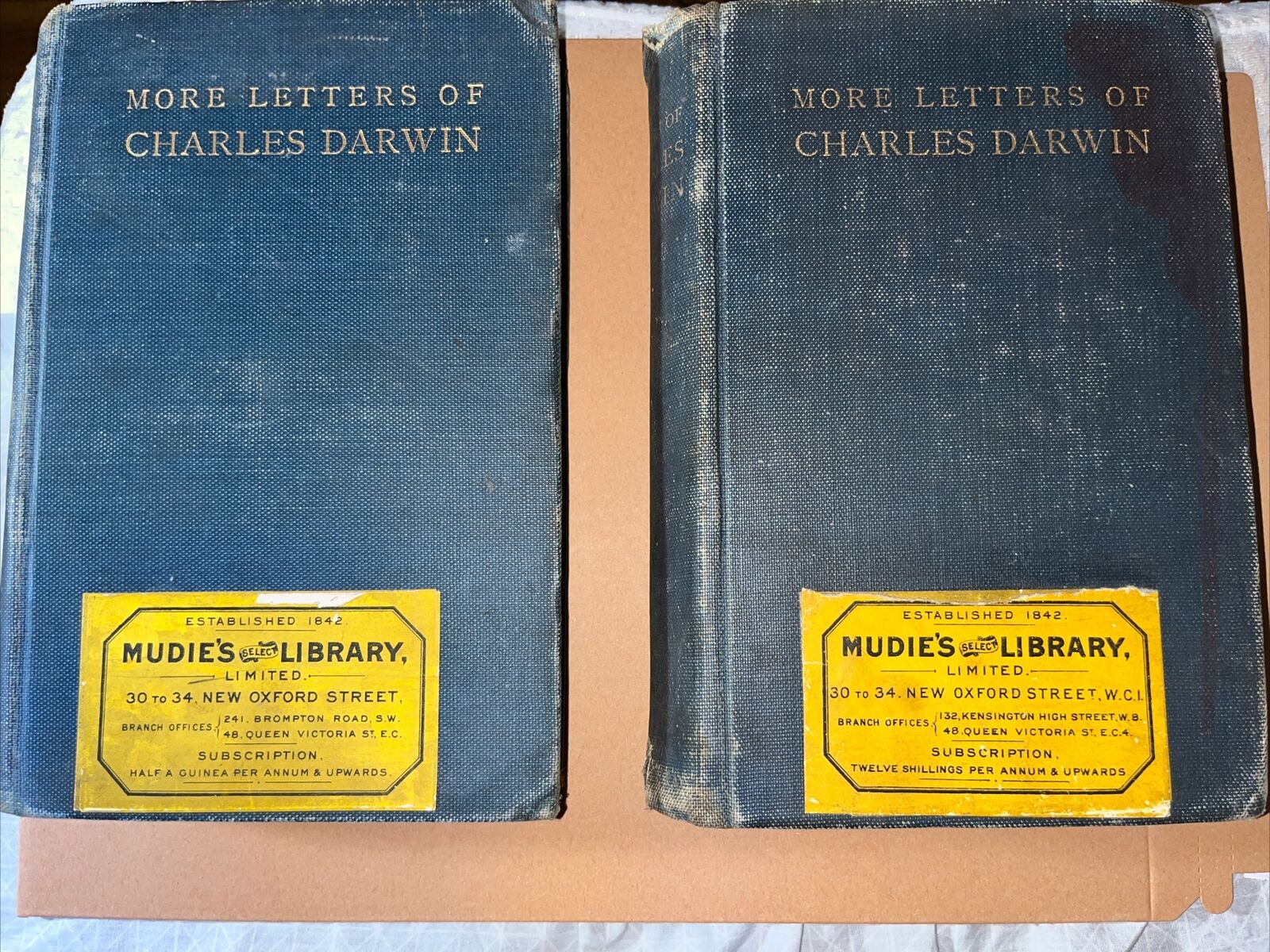 More Letters of Charles Darwin, 2 Volume Set - 1903 Illustrated John Murray