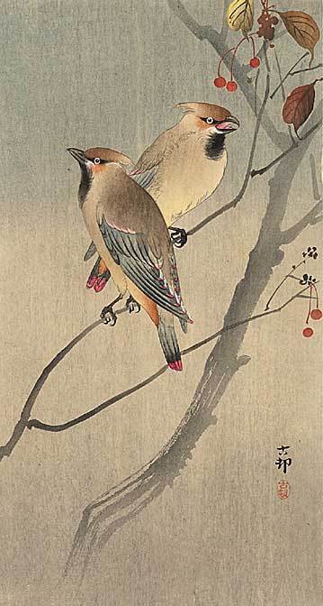 Two Birds in Tree 22x30 Japanese Art Print by Koson Asian Art Japan 