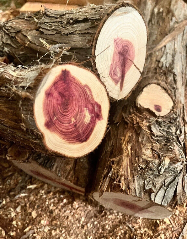 Two (2) Wood Turning Blanks - Eastern Red Cedar/Aromatic Cedar - Various Sizes
