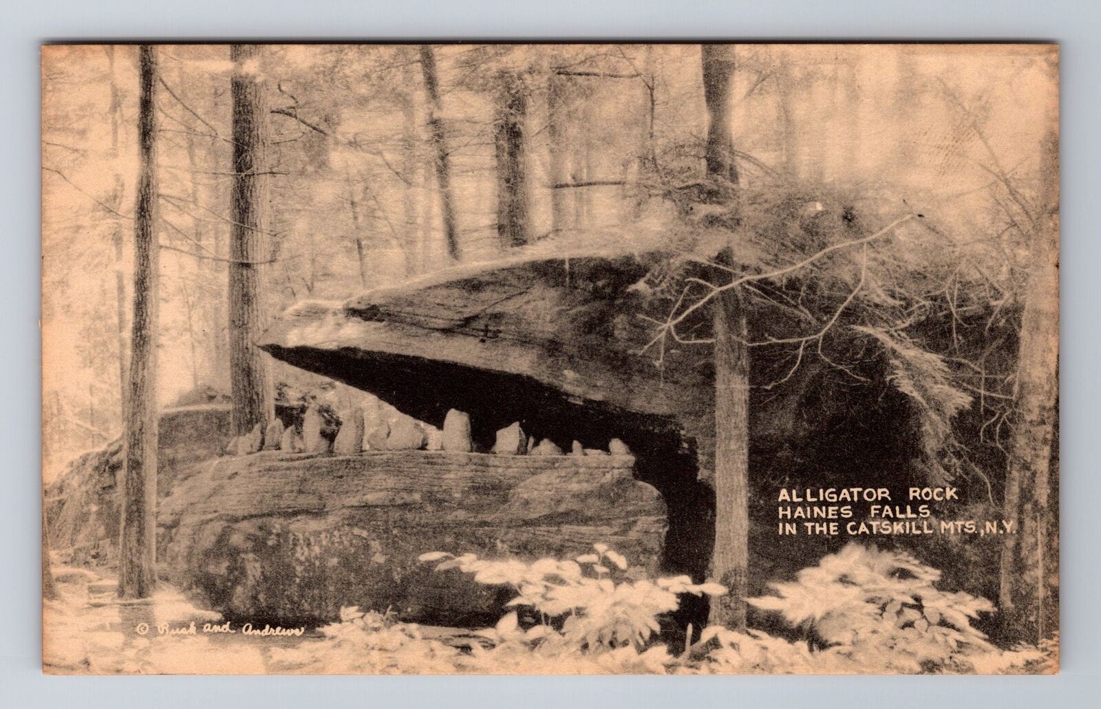 Catskill Mountains NH-New Hampshire, Alligator Rock Haines Fall Vintage Postcard