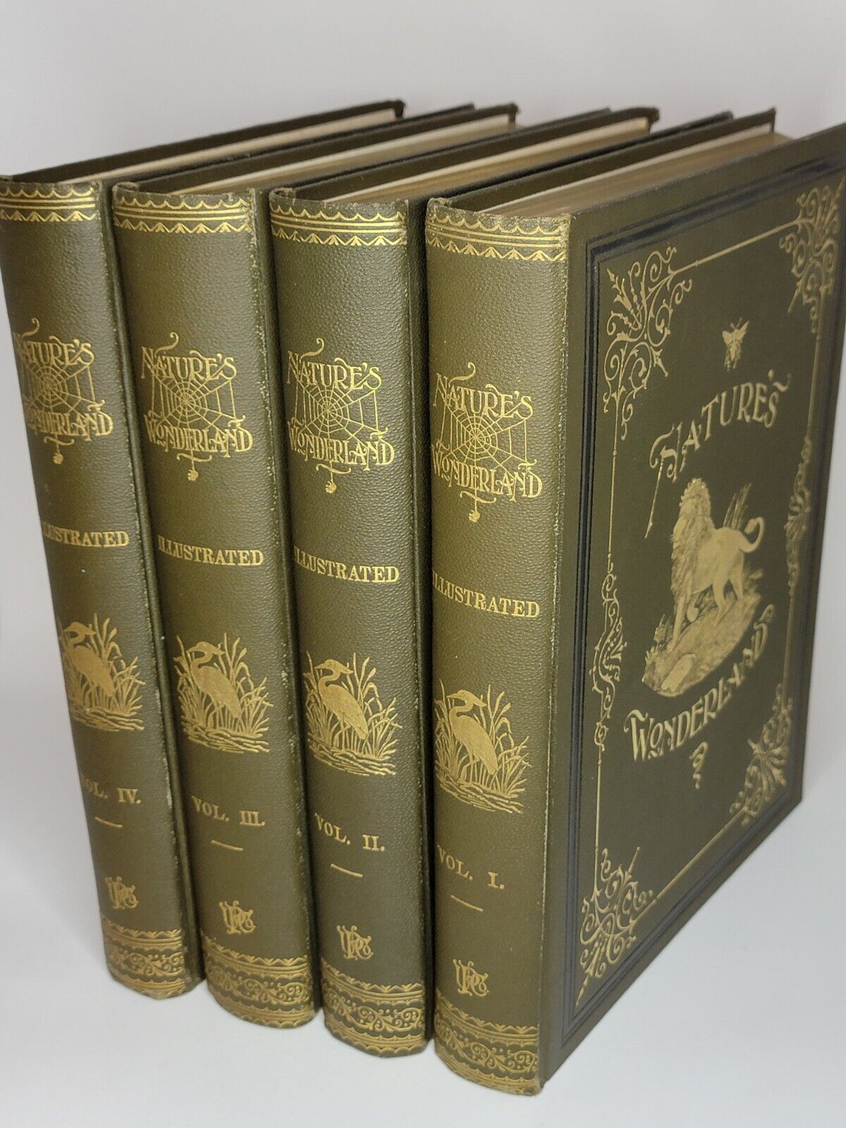 RARE 1894 4-vol set Nature\'s Wonderland Natural History by Sterling Kingsley HC