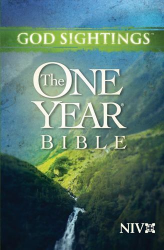 God Sightings: One Year Bible-NIV by Tyndale Publishers