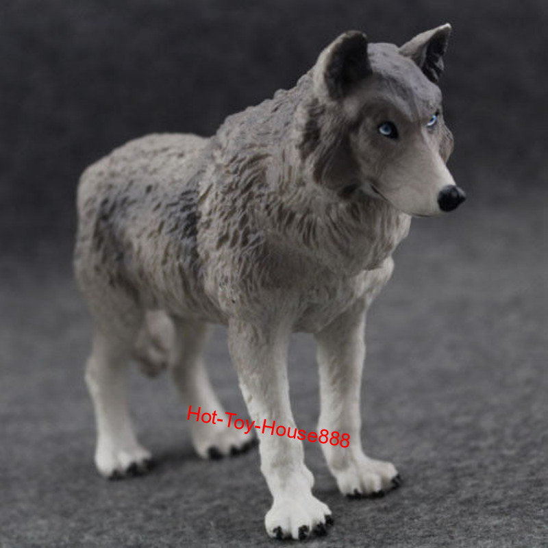 1/6 Scale Wolf Model Toy Figurine For 12\