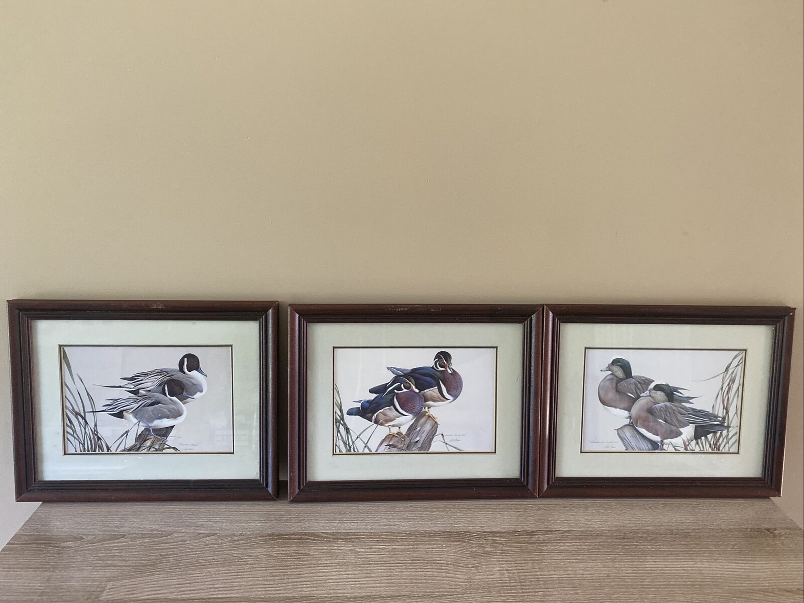 Prints “Whimsical Wigeons,” “Pintail Pals,” and \