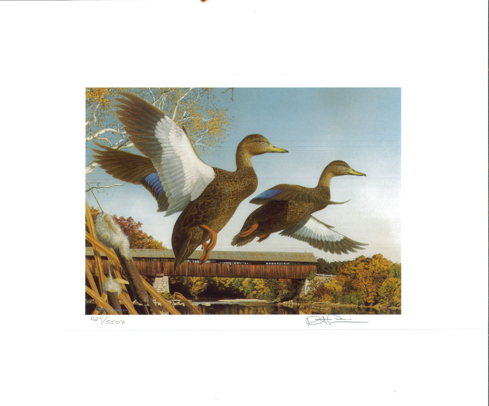 NEW HAMPSHIRE  #7 1989 STATE  DUCK  STAMP PRINT  BLACK DUCKS  GOVERNORS EDITION