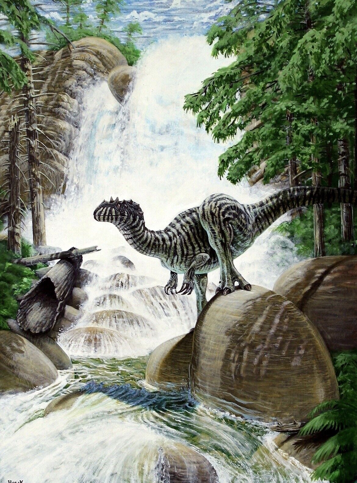 Art Print ALLOSAURUS FRAGILIS•Dinosaur 18x24.