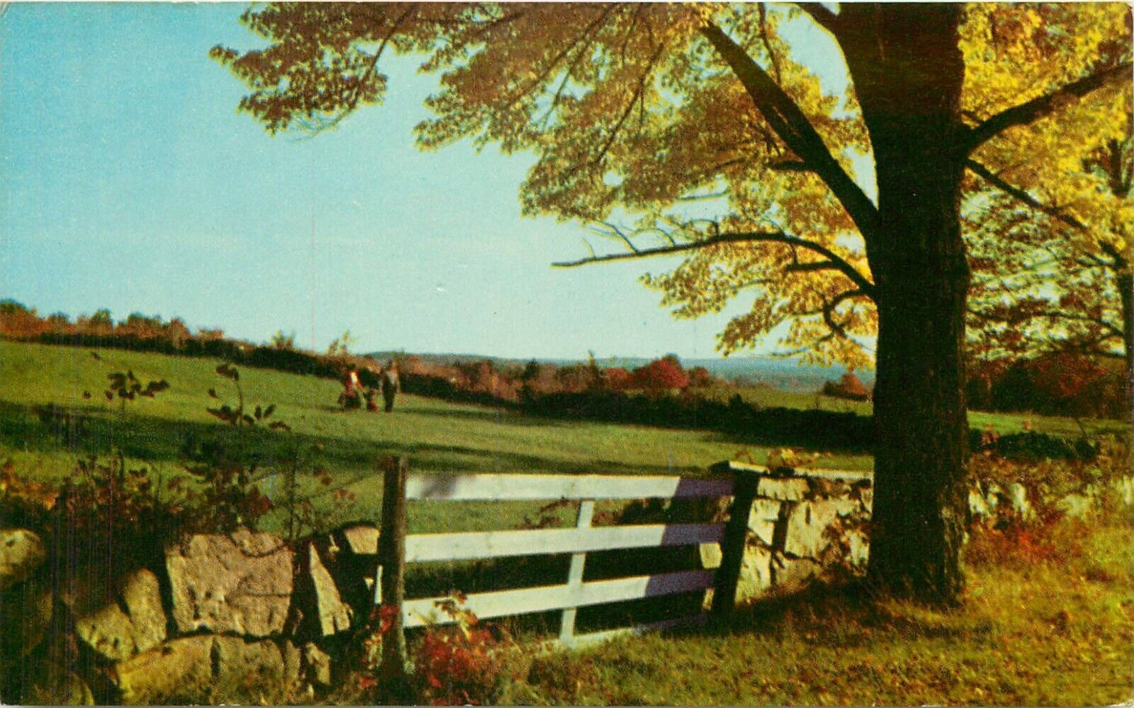 Countryside Scene Autumn Fall Postcard
