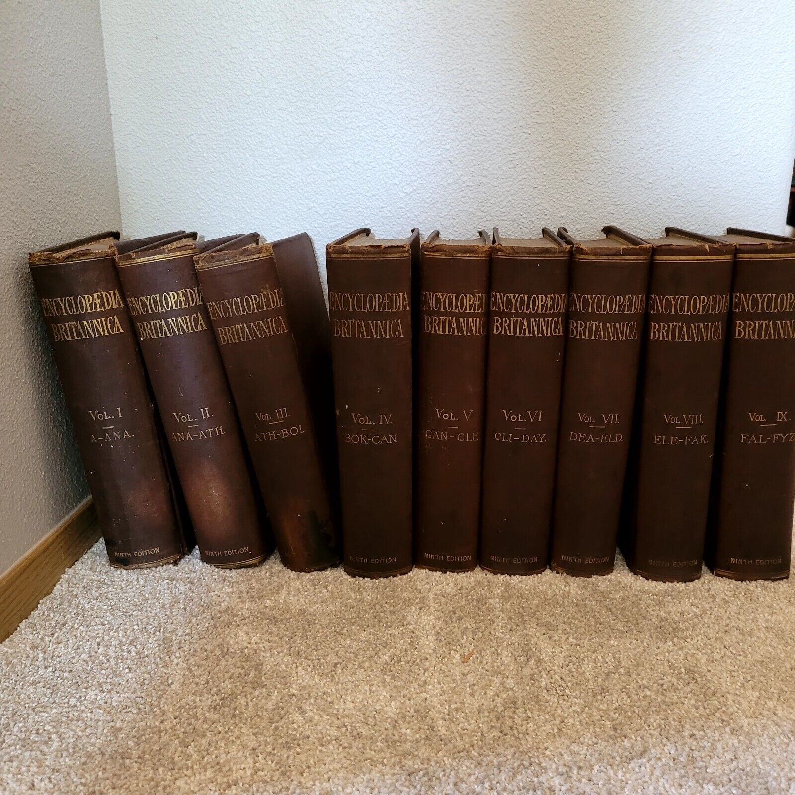Vintage 1887-1889 Encyclopedia Brittania 9th Edition Popular Reprint 27 Volumes