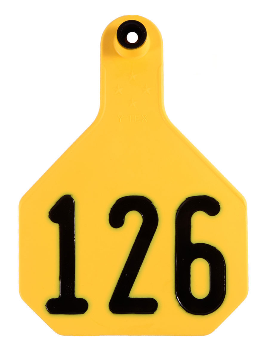 Y-Tex Large, Numbered (25) Color: Yellow Number: 1-25
