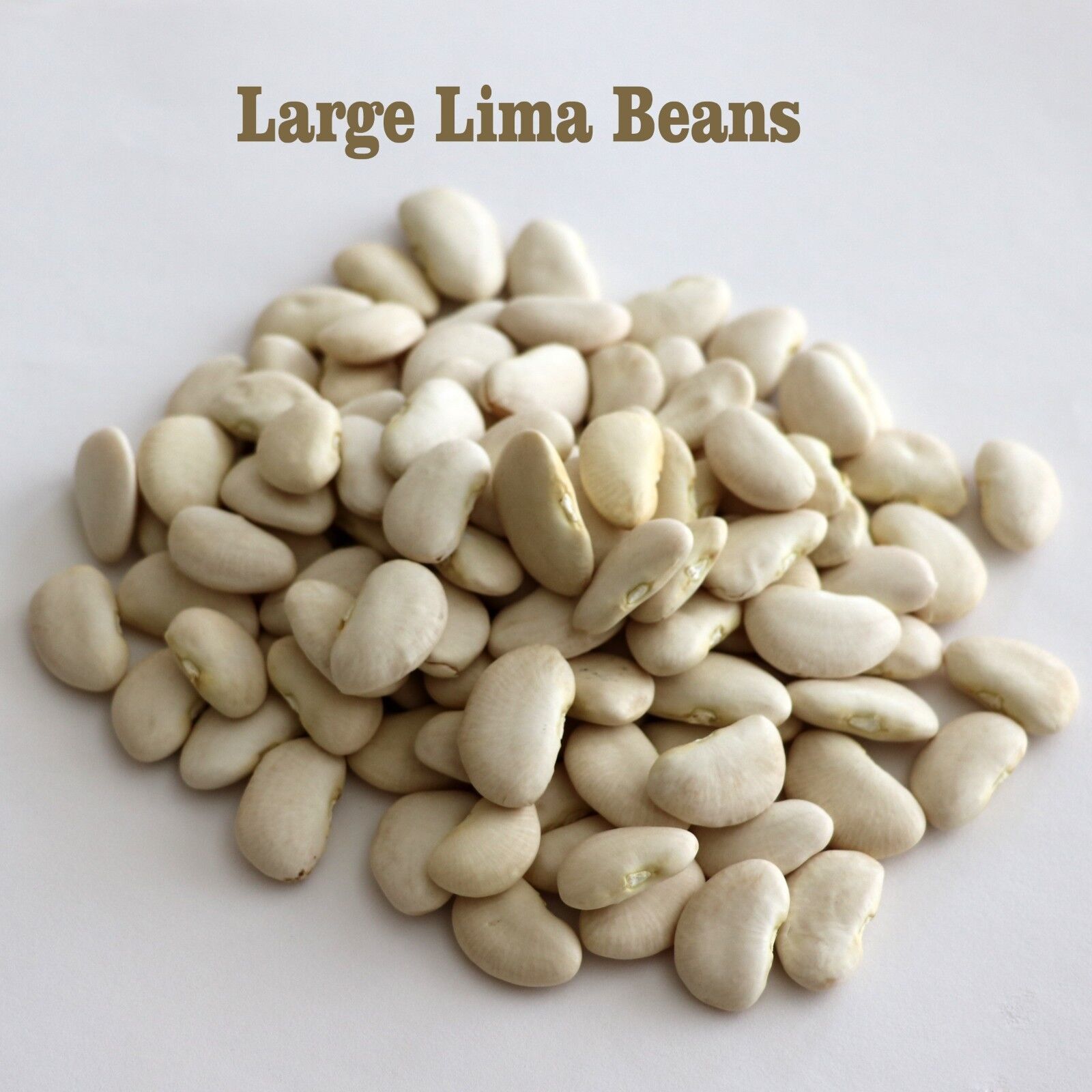 Grown Organic large lima beans  bulk 4 OZ- 10 lb 