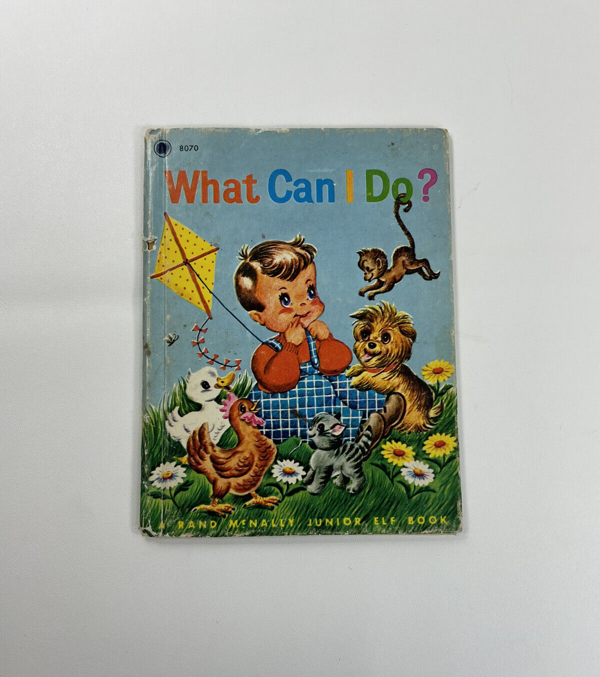 Vintage 1961 What Can I Do Childrens Book Rand McNally Hardcover 