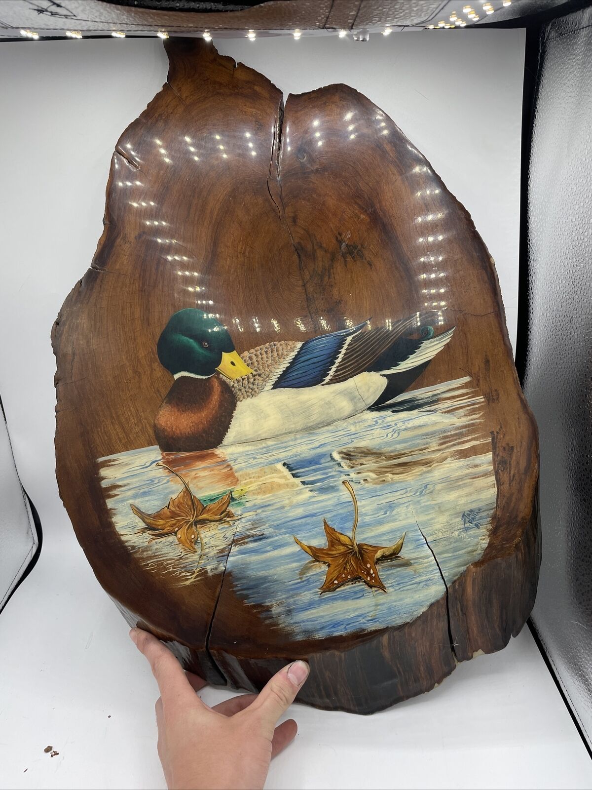 Handpainted Redwood Duck Painting