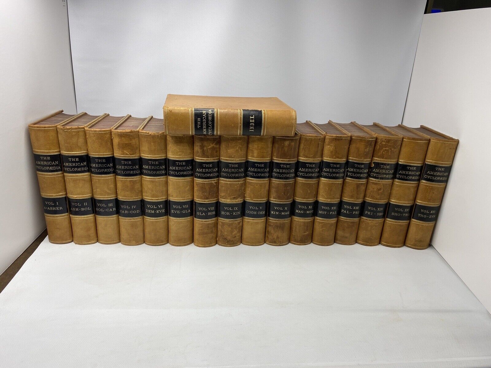 RARE 1873-1880 The American Cyclopedia complete set -17 Vol. Fine Cond. Leather