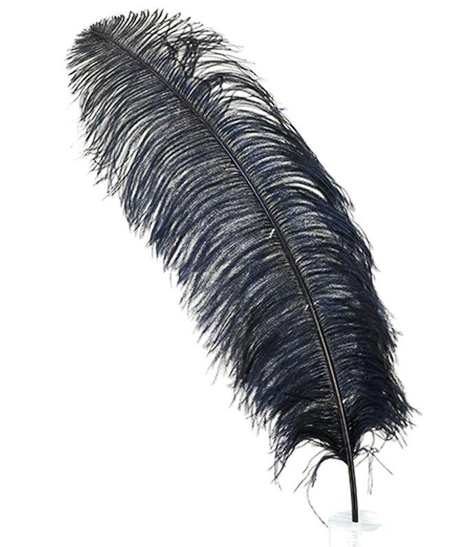 OSTRICH FEATHER PLUMES 23\