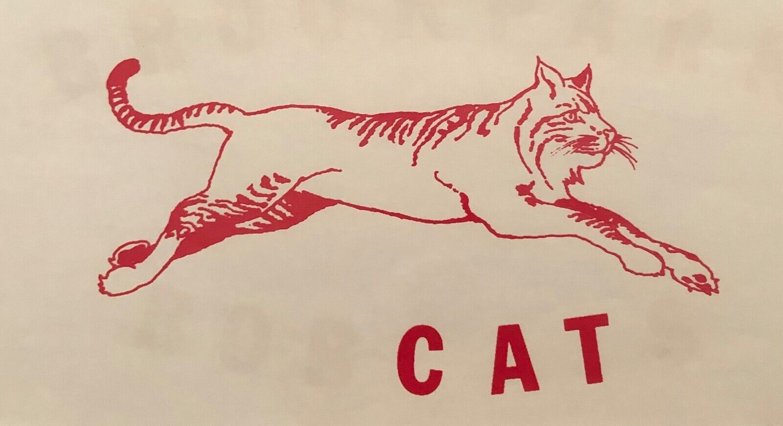 Original Vintage Red Cat Iron On Transfer