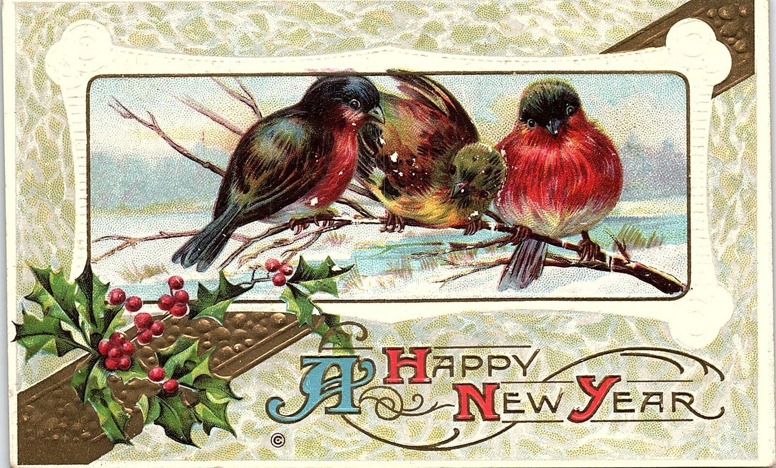 c1910 HAPPY NEW YEAR BIRDS ROBINS SNOW HOLLY GILDED EMBOSSED POSTCARD 42-317