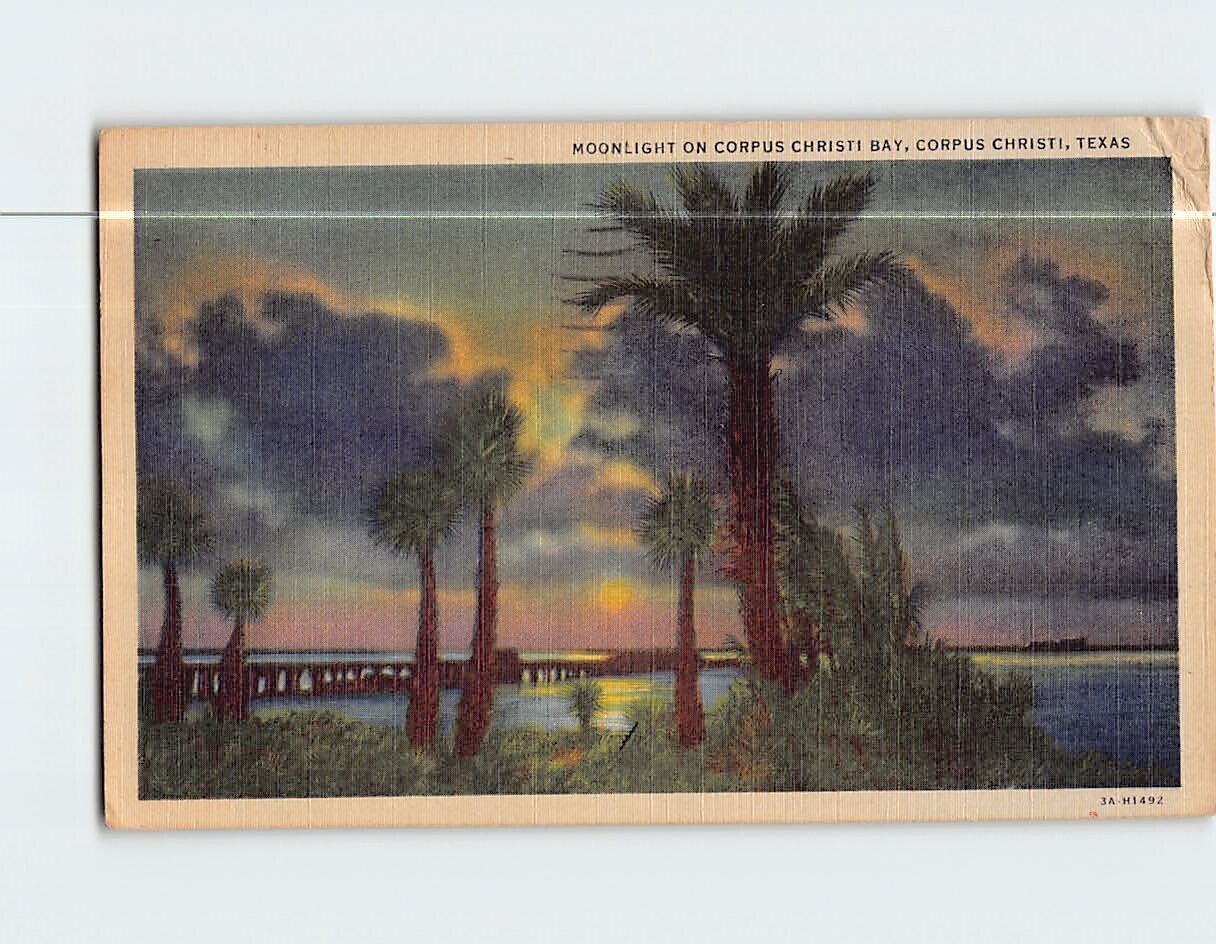 Postcard Moonlight on Corpus Christi Bay Corpus Christi Texas USA