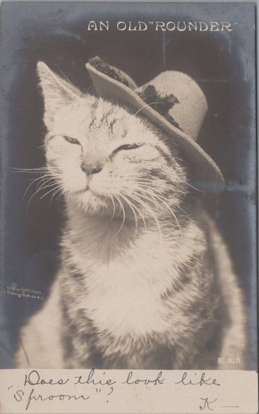 RPPC Postcard Cat Wearing Hat An Old Rounder 1906