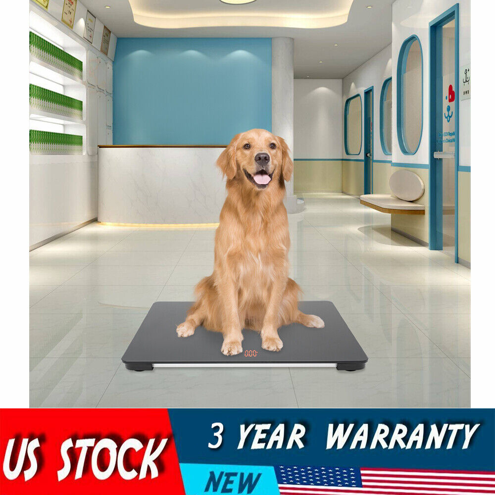 Pet Store Hospital Scale Large Dog Weighing Scale 100KG LCD Scale High Precision