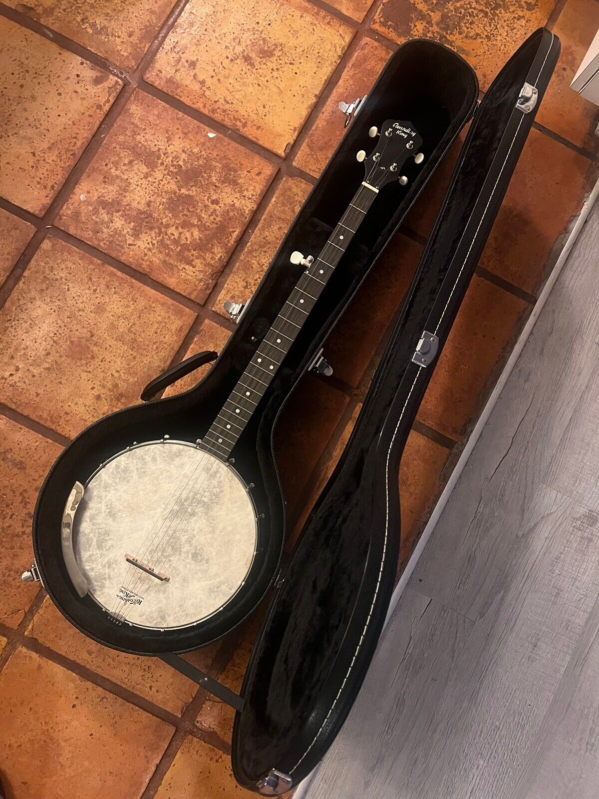 Recording King Open Back Banjo With Hard Shell Case - Open Box