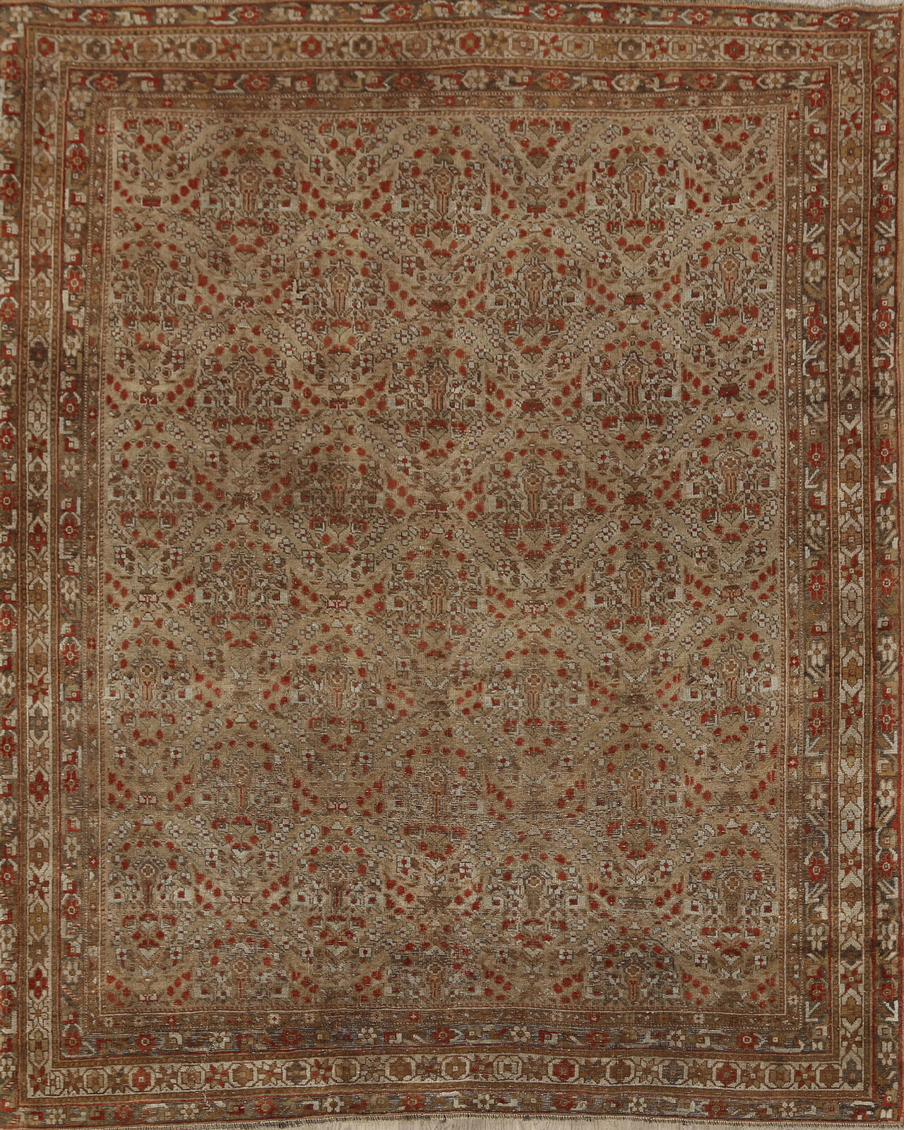 Pre-1900 Vegetable Dye Sarouk Farahan Antique Rug 5x6 Wool Hand-knotted Carpet