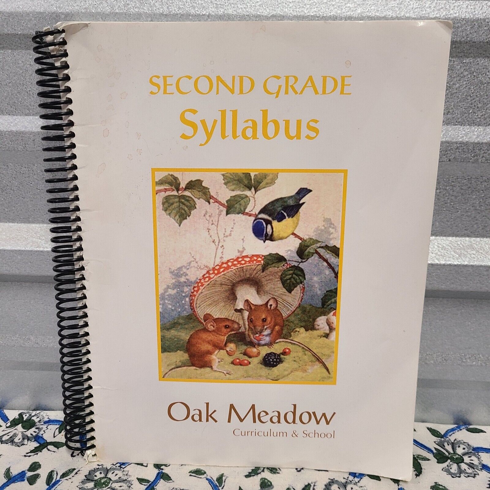 Waldorf Education: Oak Meadow Curriculum, 2nd Grade Syllabus **GOOD**