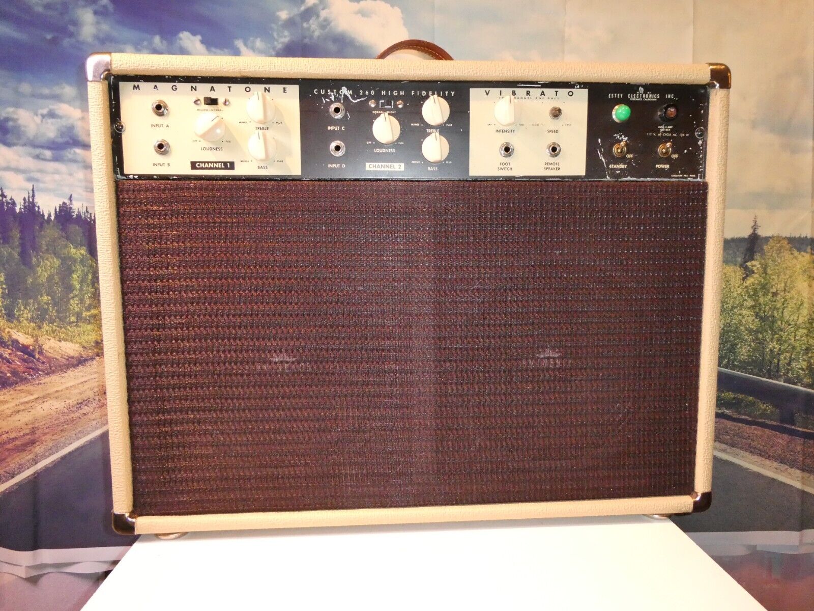 Magnatone Tube Guitar Amp Custom 260 2x10 Vibrato 6L6 Outputs 1960\'s Estey  HB