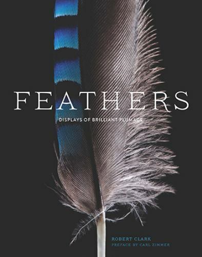 Feathers: Displays of Brilliant Plumage by Clark, Robert in Used - Good