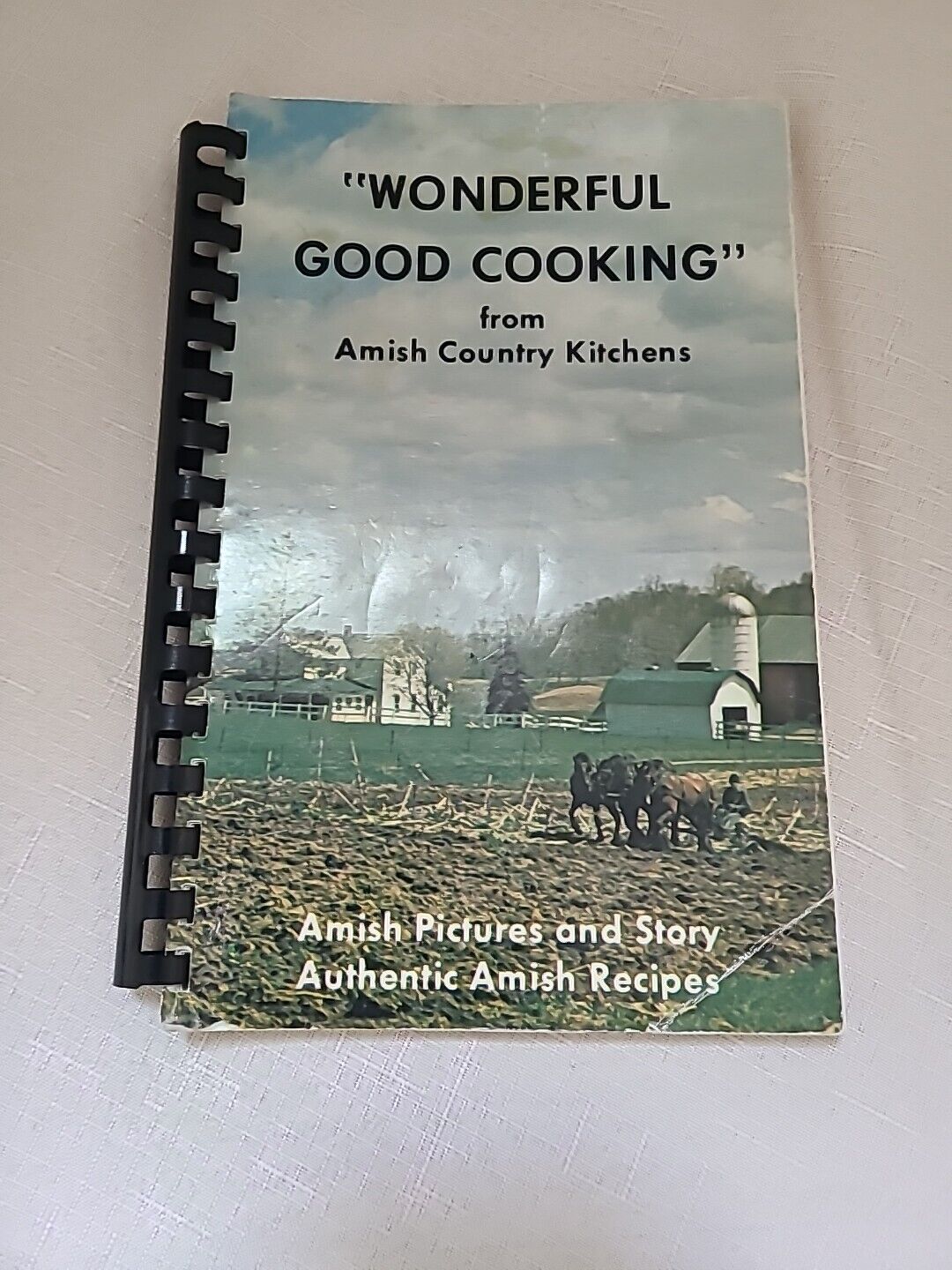 Cookbook Wonderful Good Cooking Amish Country Kitchens Photos Story Vintage PB