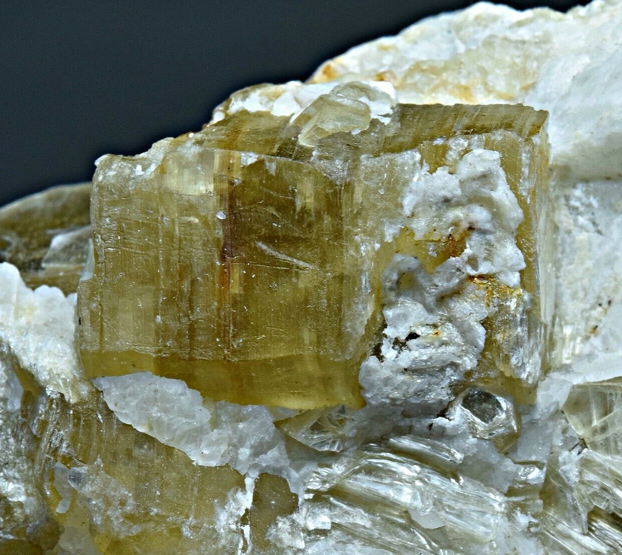 330g Natural Fluorescent Phlogopite Crystals, Hackmanite, Winchite On Matrix @AF