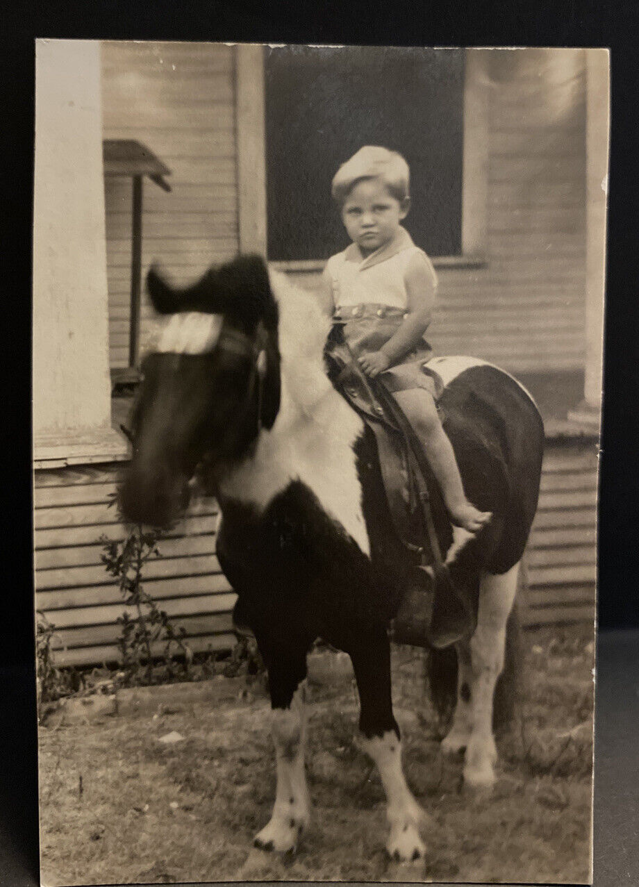 Vintage 1950s Unhappy Little Mack Moseley On Blurry Horse Shetland Pony Photo
