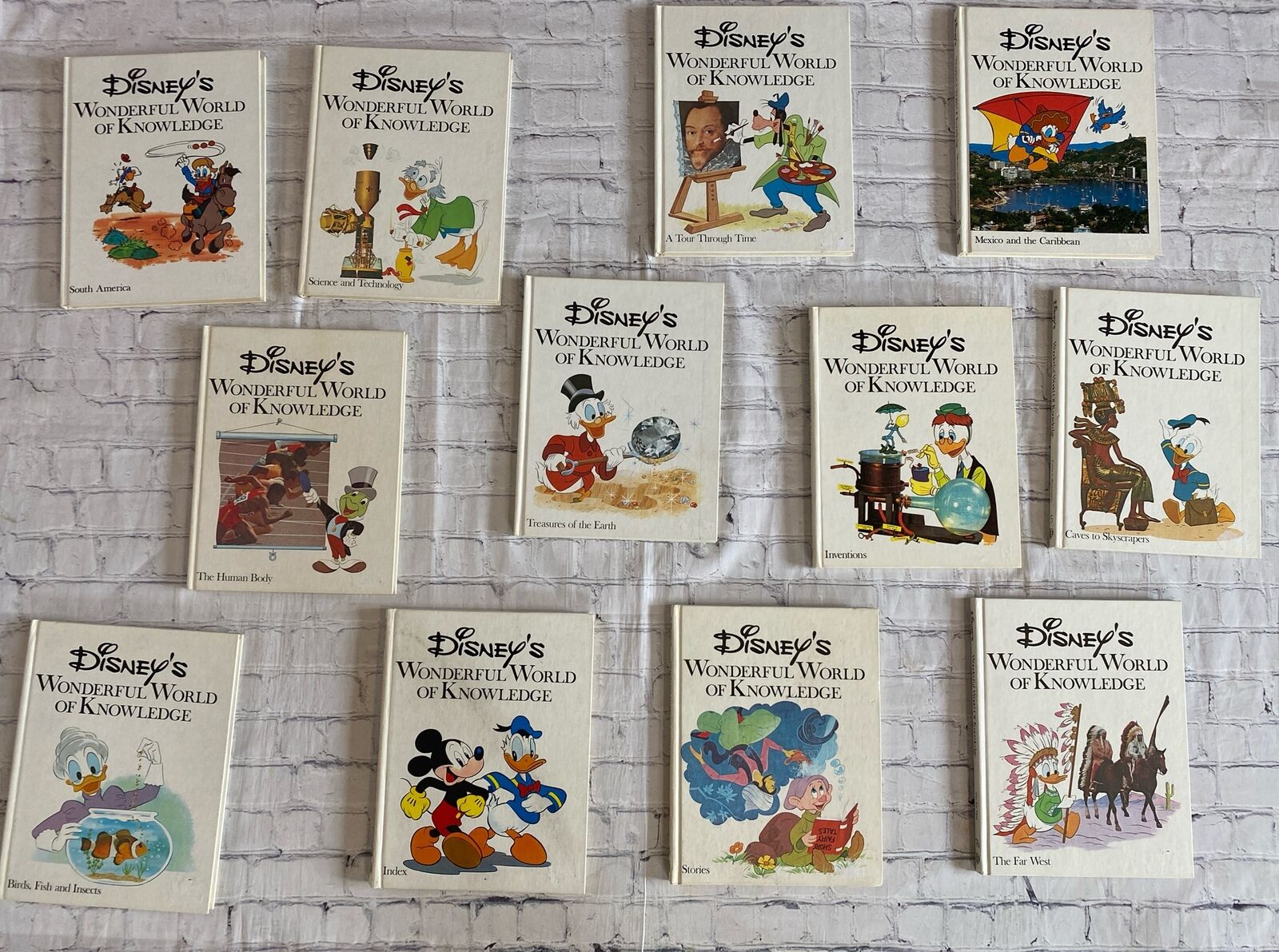 Vintage 1971 -1973 Disney\'s Wonderful World of Knowledge Lot Of 12 Books