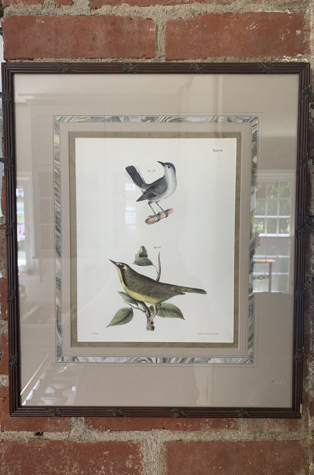 Antique Lithograph JW Hill Ornithology Bird Print 1844 Endicott NY Framed