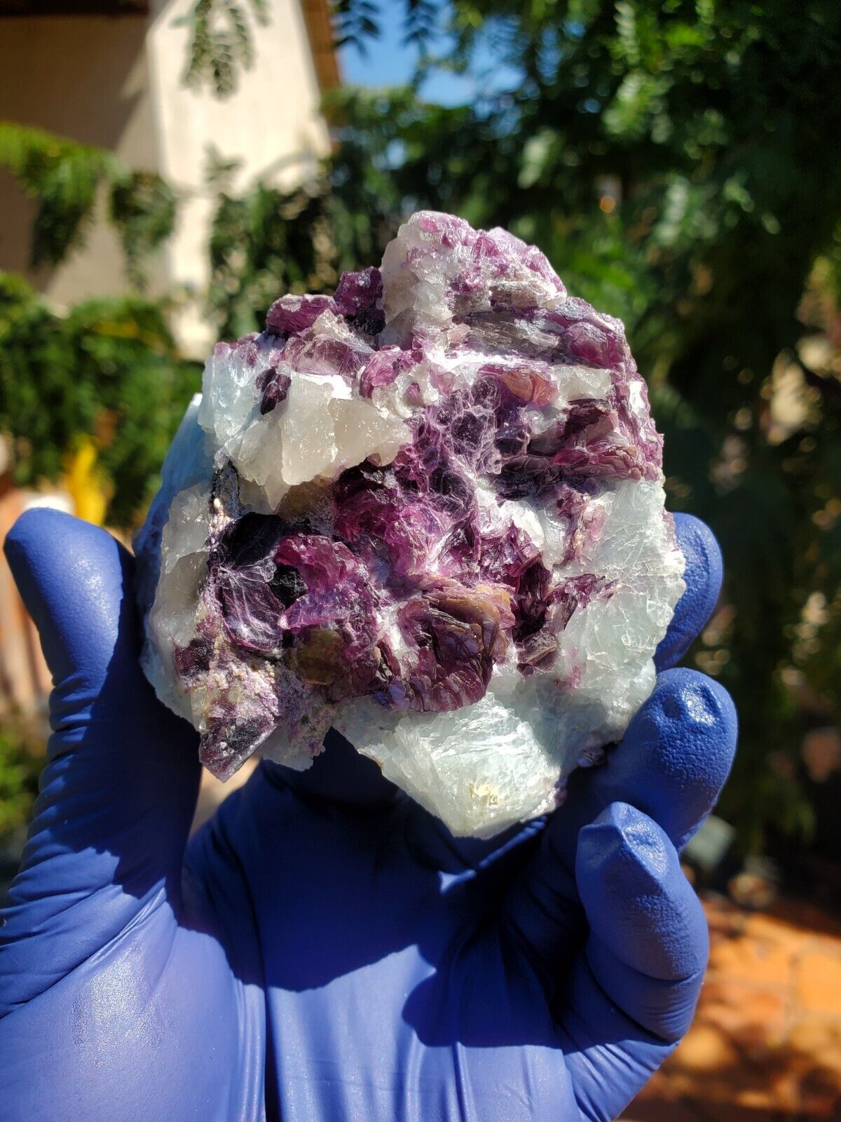 206G Natural purple lepidolite Crystal Specimen mineral  A326 Mozambique 