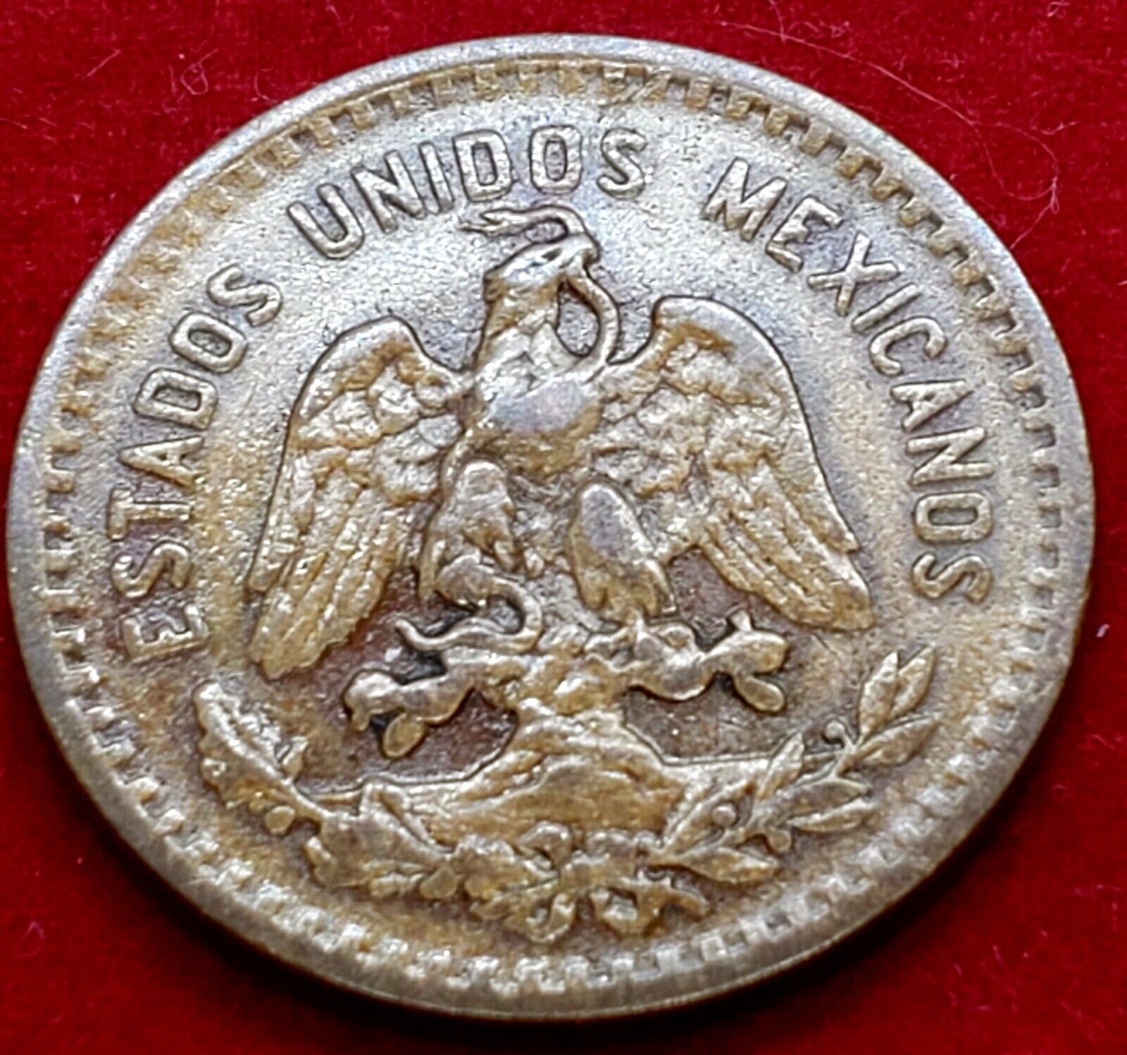 ◇MintSF◇1921-Mo, 5 Centavos, Mexico, Choice Uncirc.,  Beautiful BETTER DATE