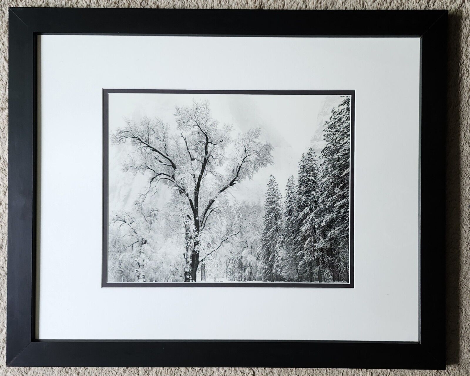 Oaktree Snowstorm by Ansel Adams framed print