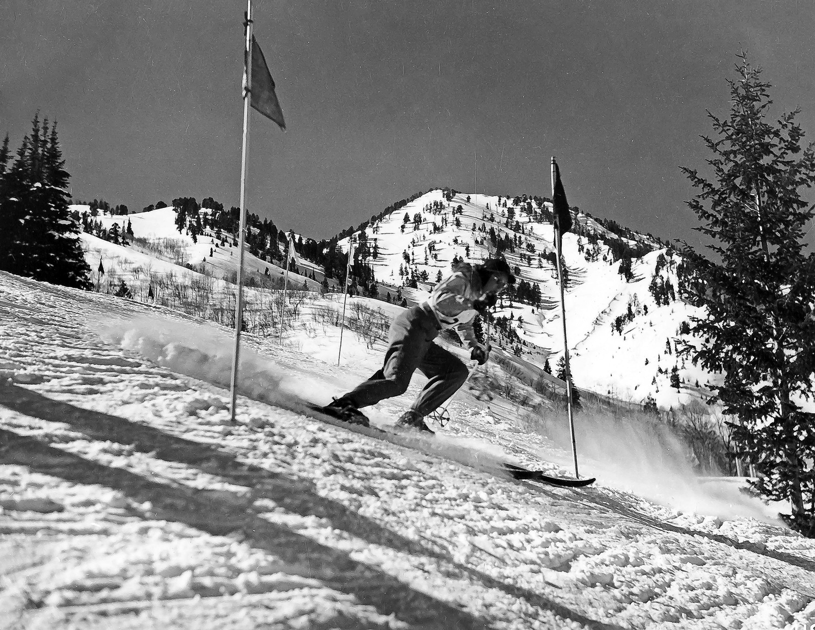 1942 Skiing Slalom Run, Cache N.F., Utah Old Photo 8.5\