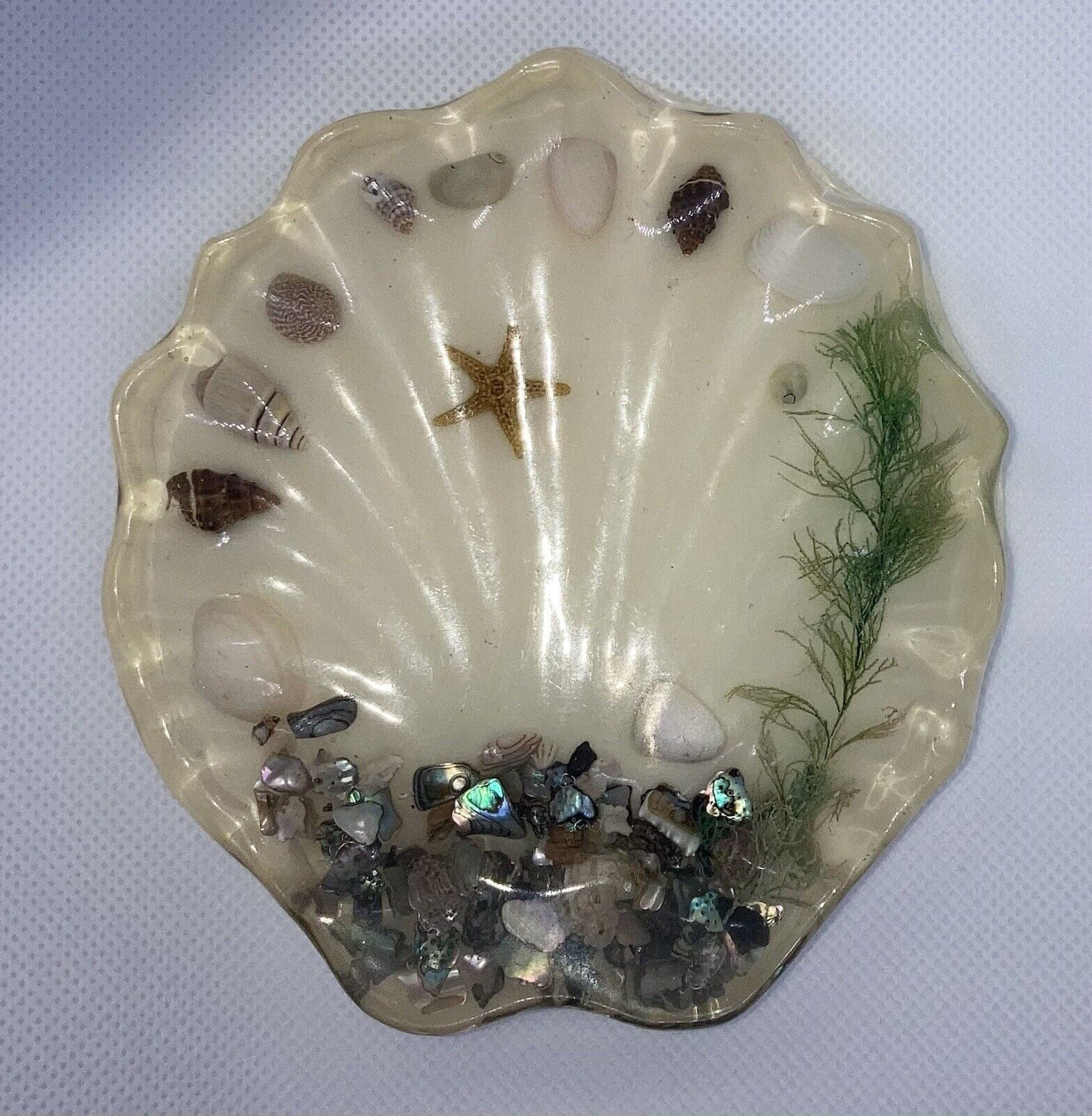 Vintage “Vomit” Sea Shell shaped Retro Lucite resin soap dish-trinket tray MCM