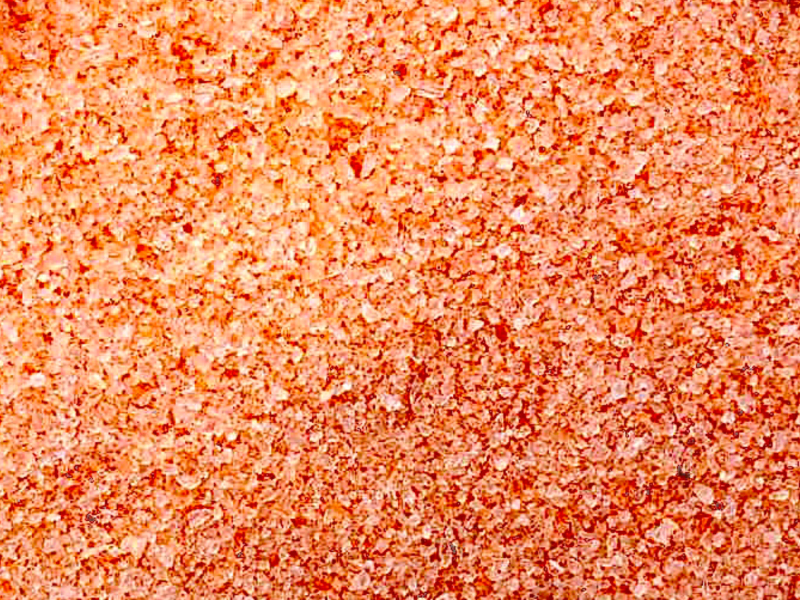 SUPRA ALTERA: (10 lb. Bag) Extra Dark Pink Himalayan Salt, 96+ Trace Minerals