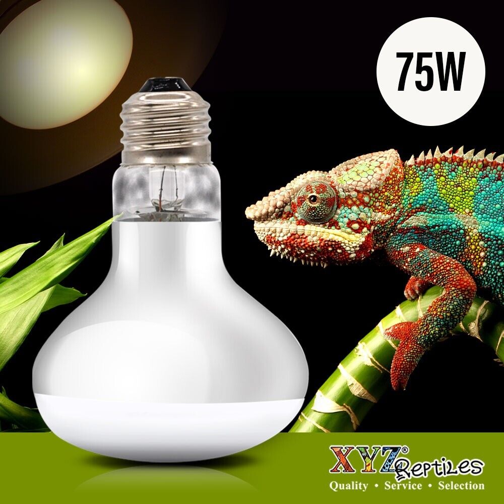 UVA Reptile Heat Lamp 75 Watt Bulb Basking Light XYZReptiles