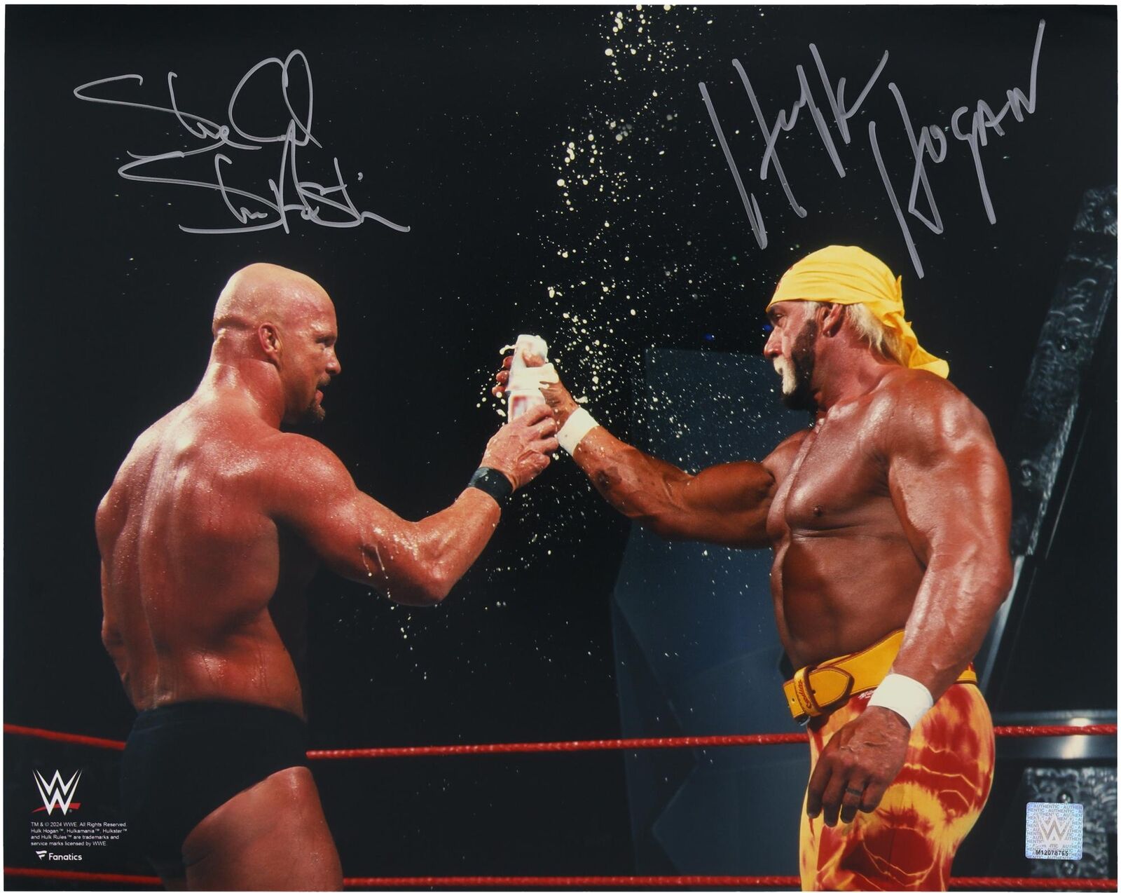 Hulk Hogan & \