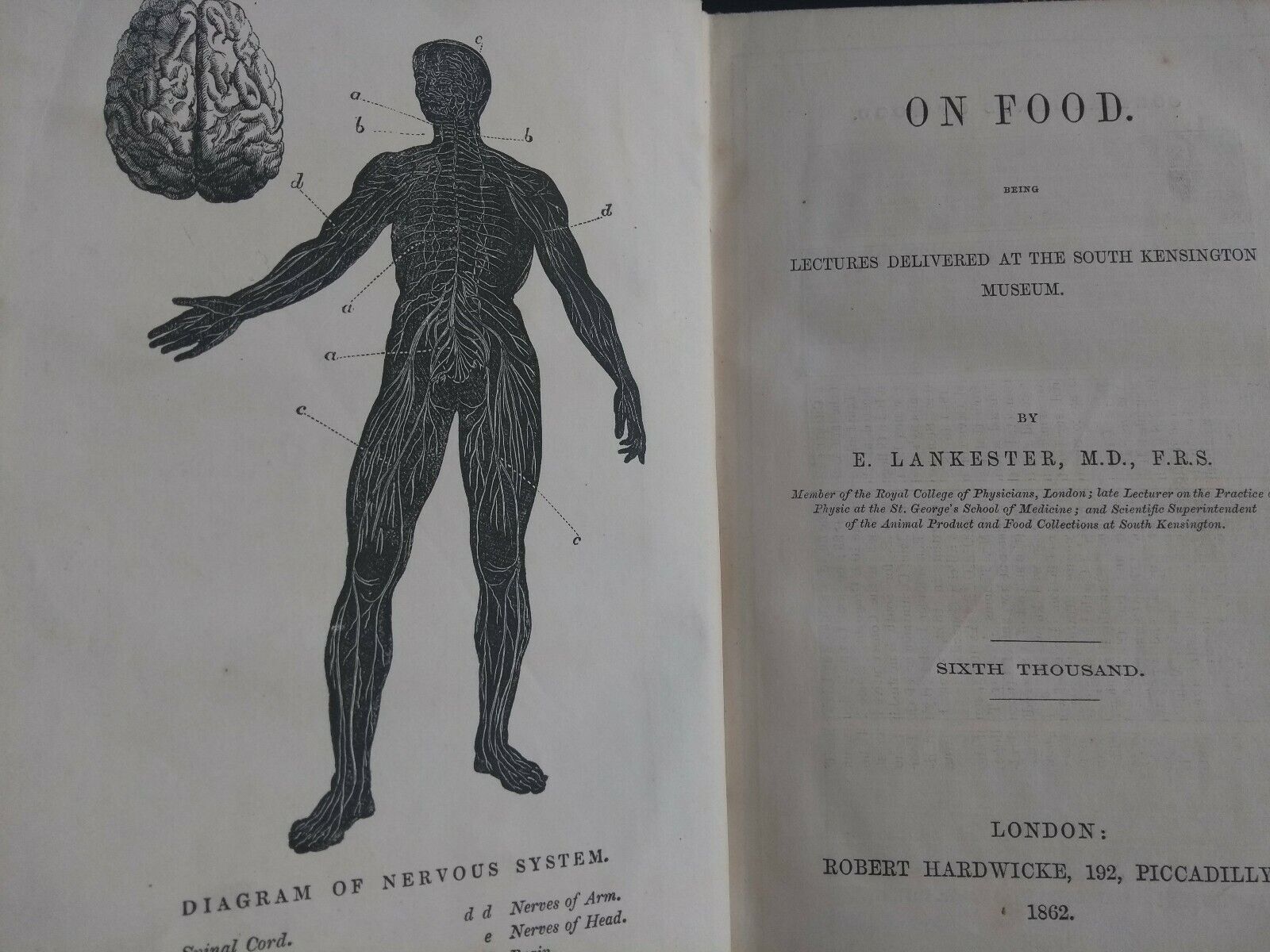 Rare Old Cookery Book. On Food book by E.Lankester M.D 1862. Lectures S.K.Museum