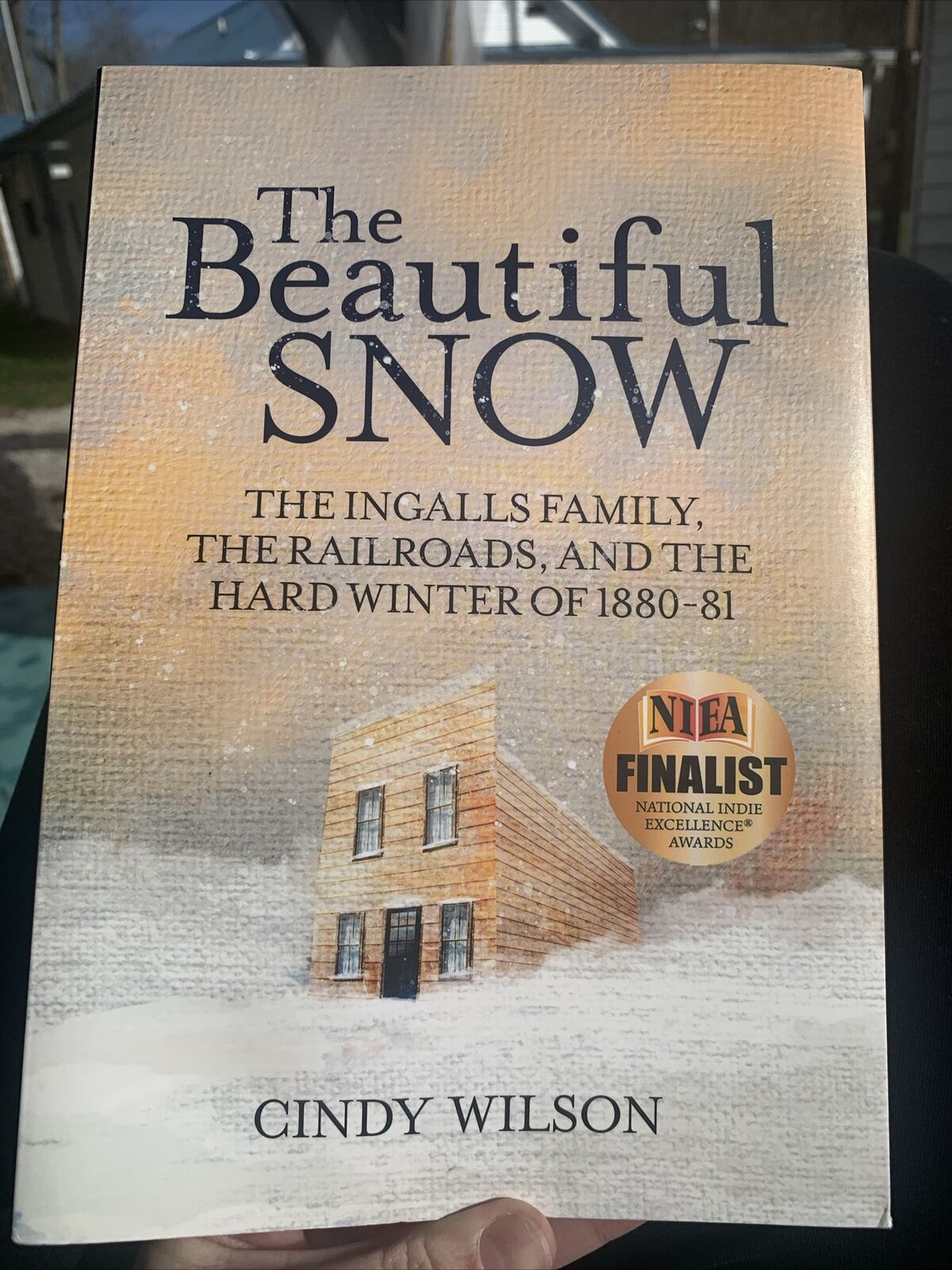 The Beautiful Snow by Cindy Wilson Like New PB Book