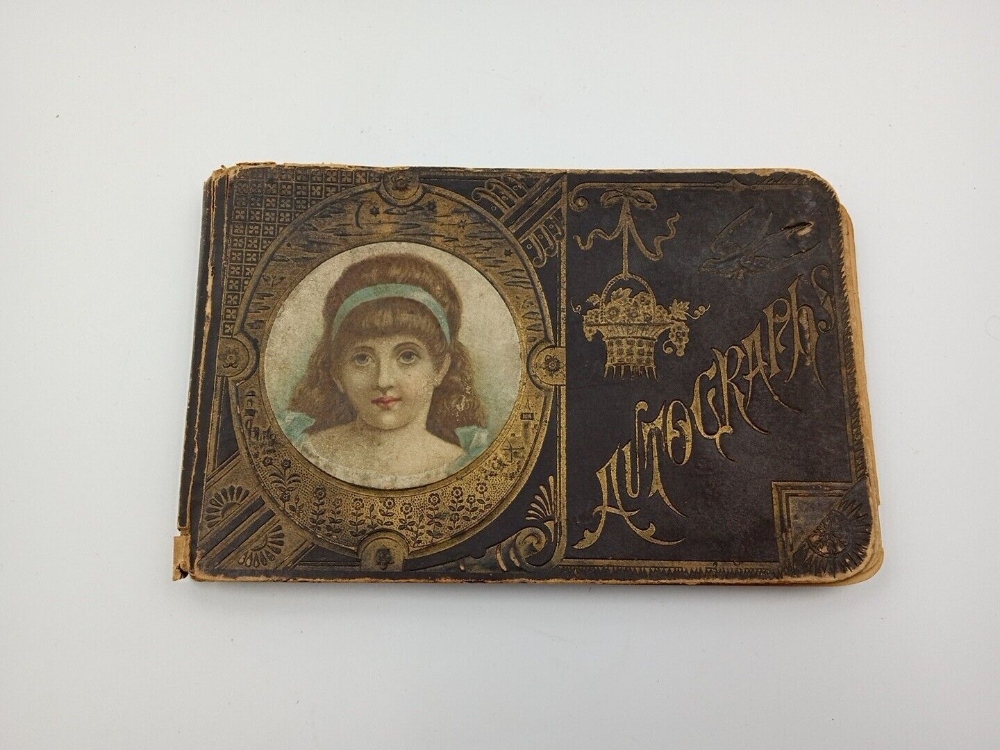 Antique 1893 Embroidered Autograph Book