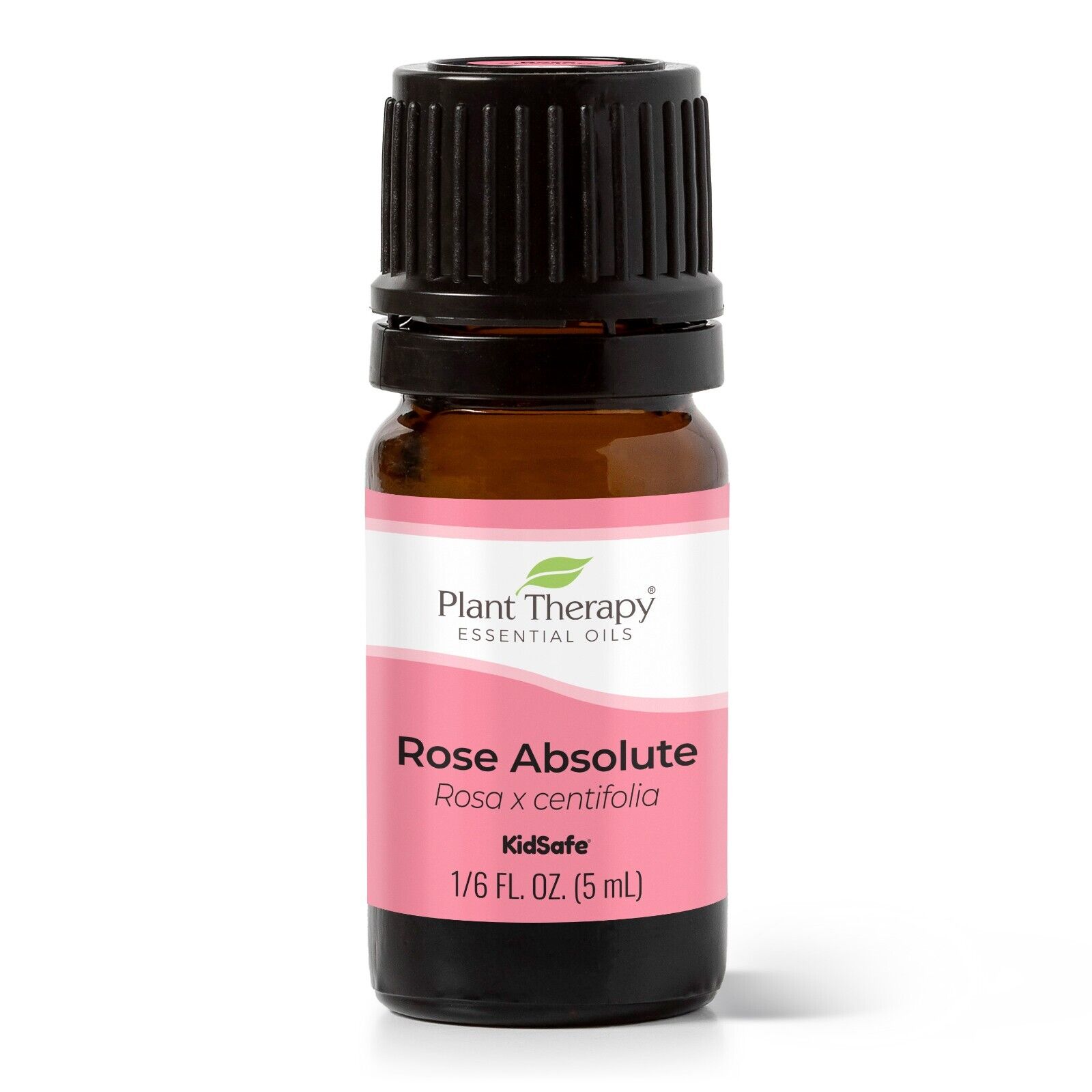 Plant Therapy Rose Absolute Essential Oil 100% Pure, Undiluted, Natural